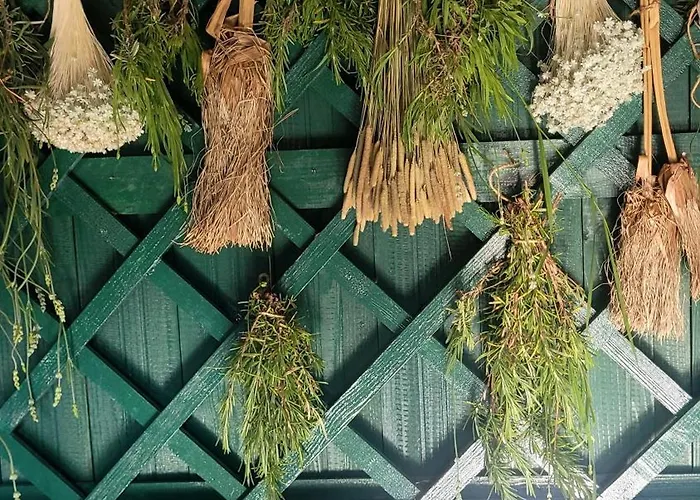 Krokowa Nad Morzem 3*